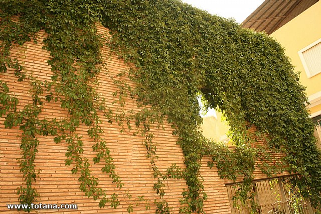 Gymkana Totanera - Asociacin Cultural  El Caico - 29