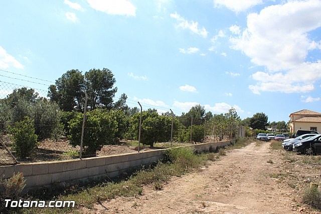 Jornada de convivencia de Hdes. y Cofradas - 02/04/2016 - 108