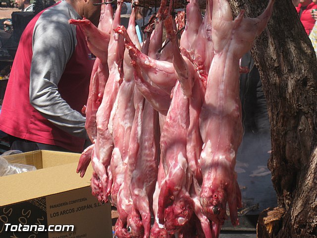 Jornada de convivencia de Hdes. y Cofradas - 02/04/2016 - 203