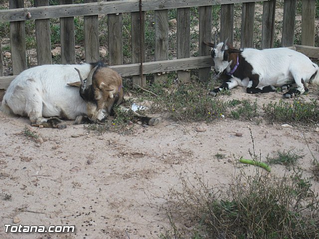 Jornada de convivencia de Hdes. y Cofradas - 02/04/2016 - 297