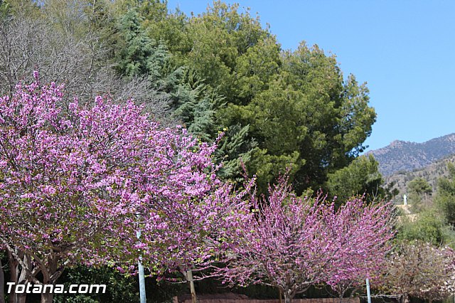 Jornada de convivencia de Hdes. y Cofradas - 03/04/2016  - 74