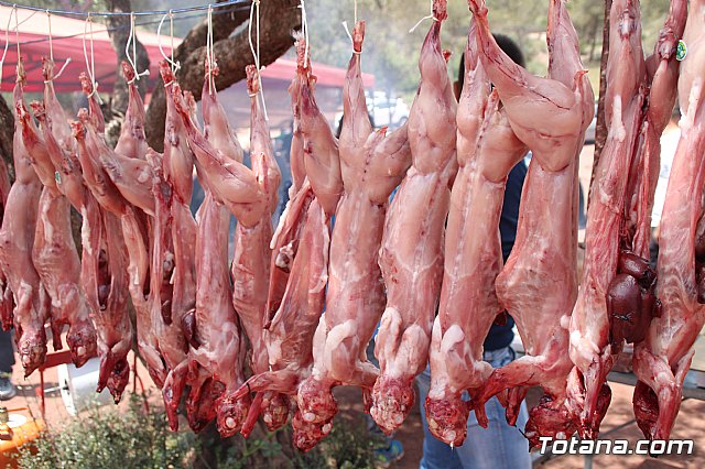 Jornada de convivencia Hdes. y Cofradas. Sbado 22 de abril de 2017 - 20