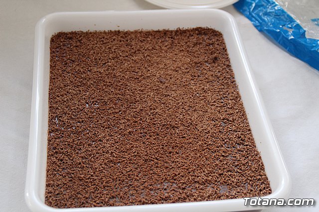 Jornada de convivencia Hdes. y Cofradas. Sbado 22 de abril de 2017 - 294