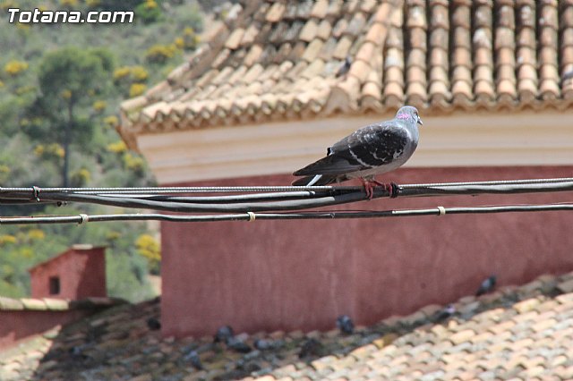 Jornada de convivencia Hdes. Sbado 29 y domingo 30 de abril de 2017 - 143