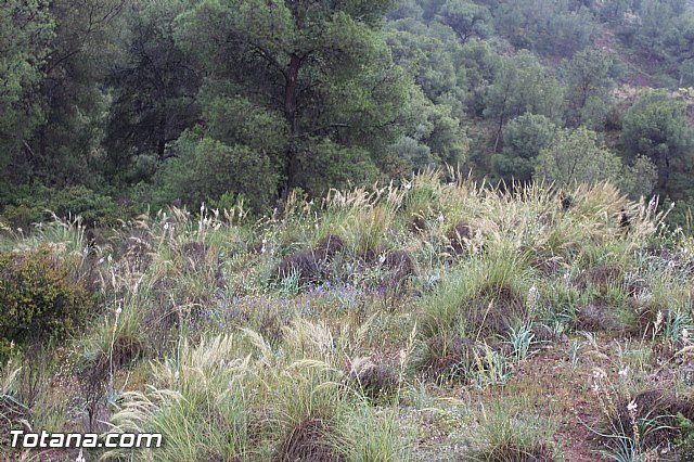 Jornada de convivencia Hermandades y Cofradas - Sbado 11 y domingo 12 de abril 2015 - 48