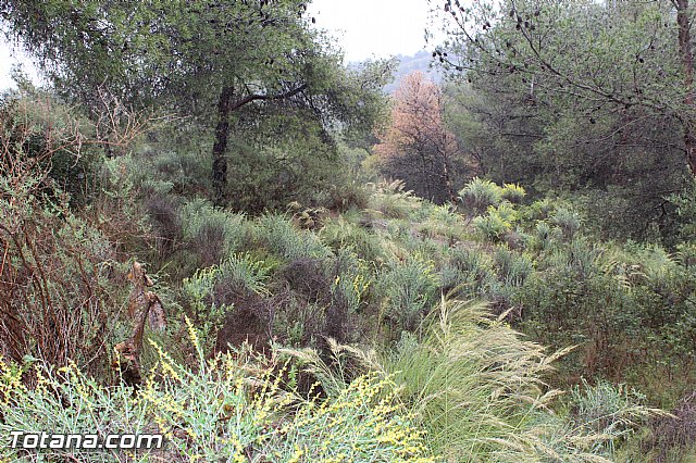 Jornada de convivencia Hermandades y Cofradas - Sbado 11 y domingo 12 de abril 2015 - 49