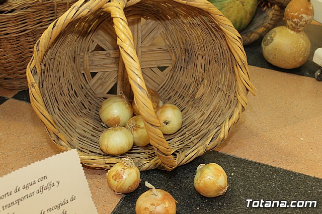 Exposicin Huellas de nuestro pasado  - 141