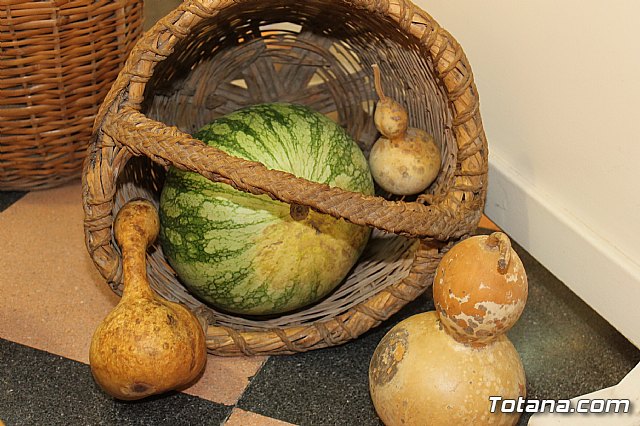 Exposicin Huellas de nuestro pasado  - 142