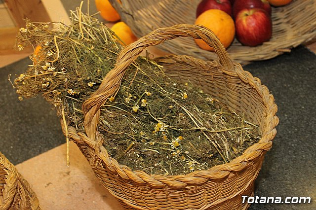 Exposicin Huellas de nuestro pasado  - 145