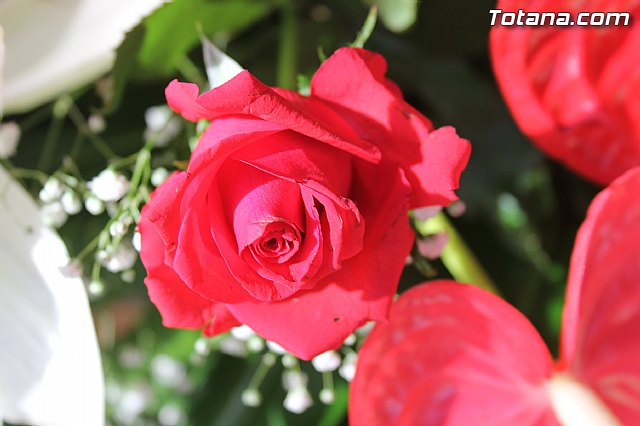 Procesin de La Huerta 2014 - 11