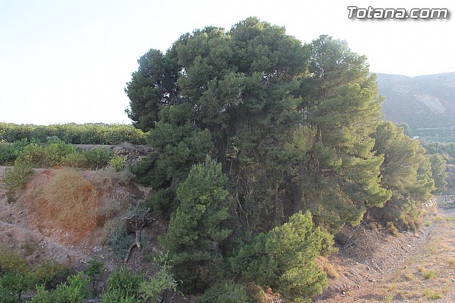 Procesin de La Huerta 2014 - 128