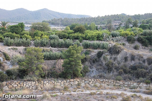 Procesin La Huerta 2016 - 4