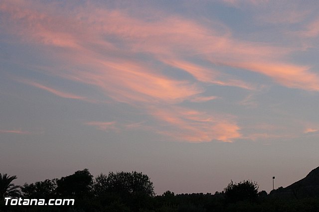 Procesin La Huerta 2016 - 225