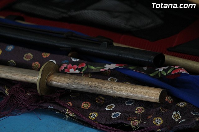 Totana acogi un curso de iaidō, organizado por el Club de Aikido Totana - 49