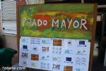prado mayor