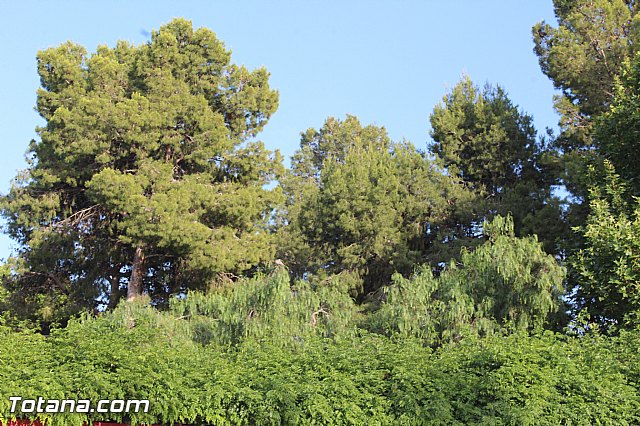 Acto de graduacin 2 de bachillerato. IES Juan de la Cierva 2015 - 51