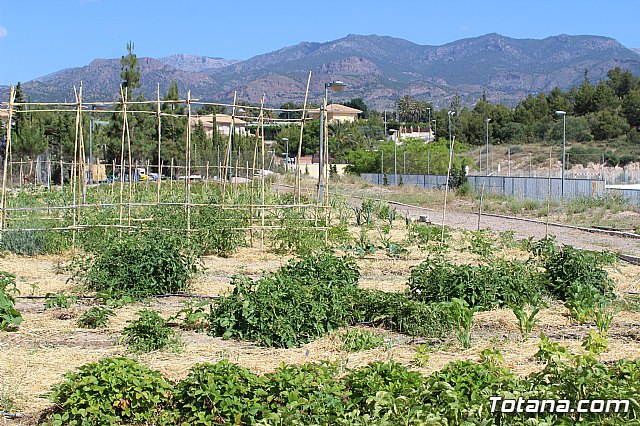 Programa Formativo Profesional en Actividades Auxiliares en Viveros y Jardines - 21