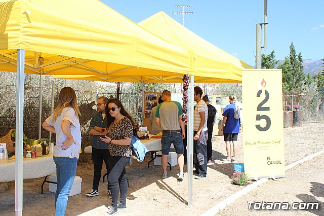 Programa Formativo Profesional en Actividades Auxiliares en Viveros y Jardines - 25