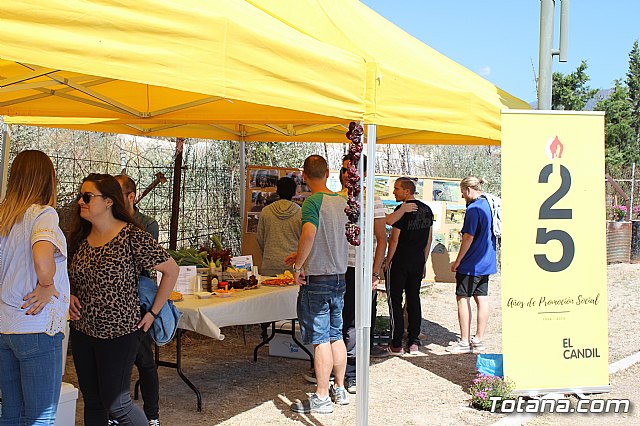 Programa Formativo Profesional en Actividades Auxiliares en Viveros y Jardines - 26