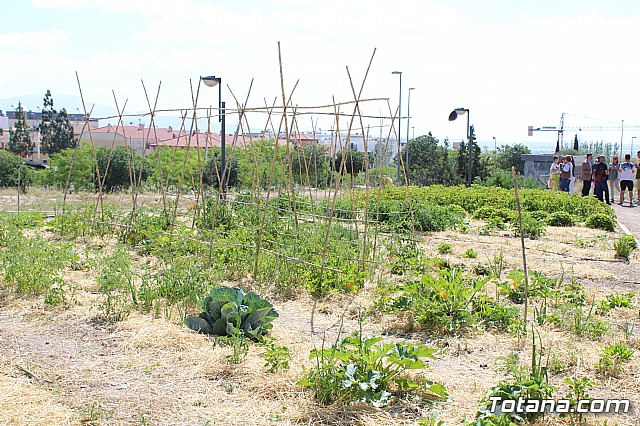 Programa Formativo Profesional en Actividades Auxiliares en Viveros y Jardines - 27
