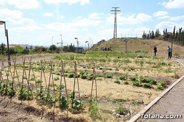 Programa Formativo Profesional en Actividades Auxiliares en Viveros y Jardines - 29