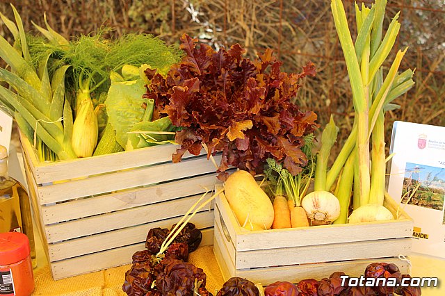 Programa Formativo Profesional en Actividades Auxiliares en Viveros y Jardines - 32