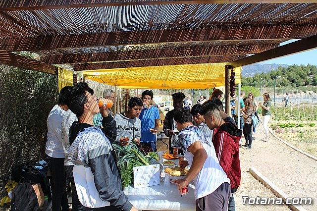 Programa Formativo Profesional en Actividades Auxiliares en Viveros y Jardines - 37