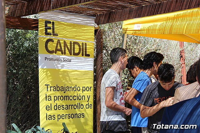 Programa Formativo Profesional en Actividades Auxiliares en Viveros y Jardines - 41