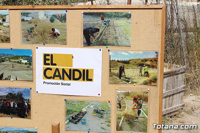 Programa Formativo Profesional en Actividades Auxiliares en Viveros y Jardines - 47