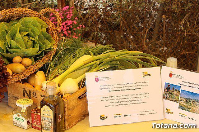 Programa Formativo Profesional en Actividades Auxiliares en Viveros y Jardines - 48