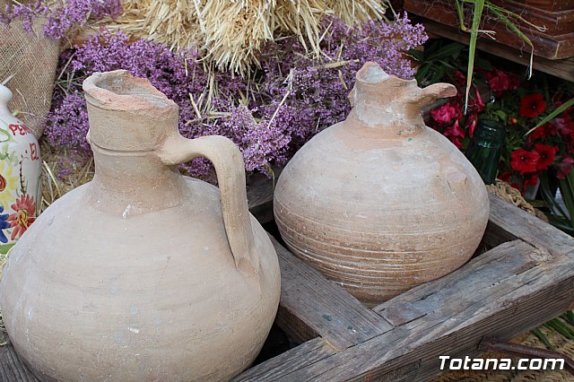 Desfile Costumbrista Gertero  y IX Festival Folklrico  - 91