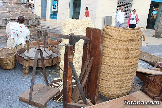 Desfile Costumbrista Gertero  y IX Festival Folklrico  - 96