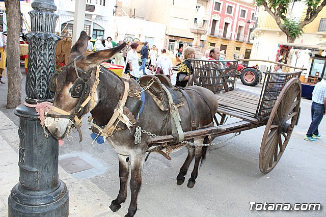 Desfile Costumbrista Gertero  y IX Festival Folklrico  - 110