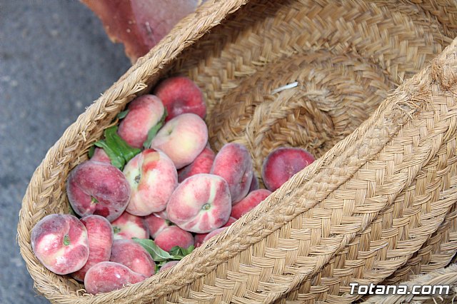 Desfile Costumbrista Gertero  y IX Festival Folklrico  - 124