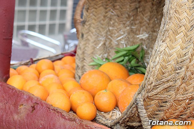 Desfile Costumbrista Gertero  y IX Festival Folklrico  - 125