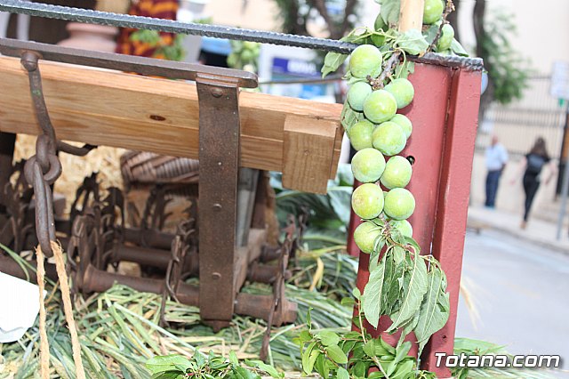Desfile Costumbrista Gertero  y IX Festival Folklrico  - 127