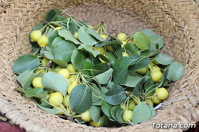 Desfile Costumbrista Gertero  y IX Festival Folklrico  - 133