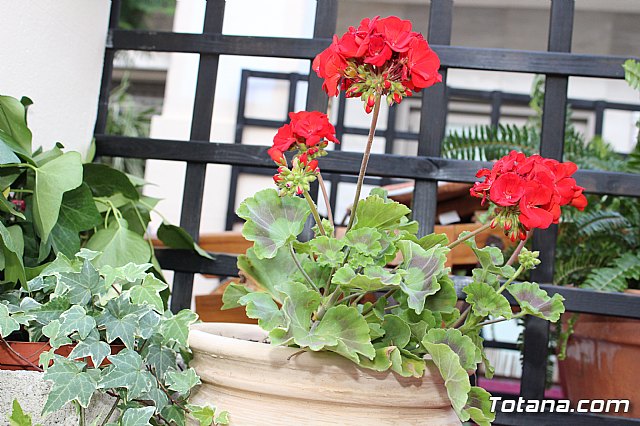 Desfile Costumbrista Gertero  y IX Festival Folklrico  - 137