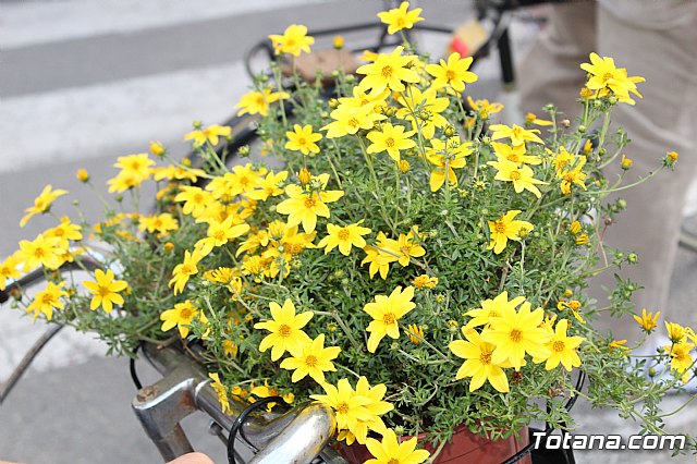 Desfile Costumbrista Gertero  y IX Festival Folklrico  - 236