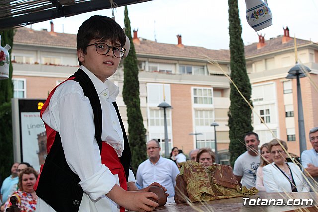 Desfile Costumbrista Gertero  y IX Festival Folklrico  - 284