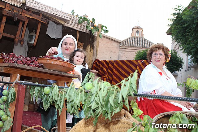 Desfile Costumbrista Gertero  y IX Festival Folklrico  - 319