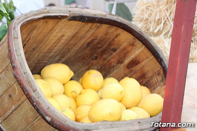 Desfile Costumbrista Gertero  y IX Festival Folklrico  - 321
