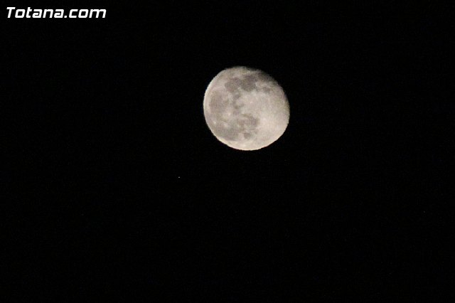 Procesin Jueves Santo - Semana Santa Totana 2017 - 982