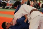 judo