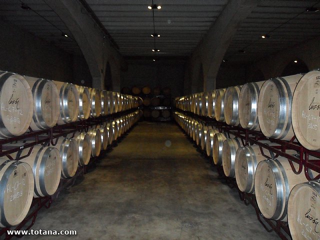 Viaje a Jumilla. Hermandad de Nuestro Padre Jess Nazareno y Santo Sepulcro de Totana - 102
