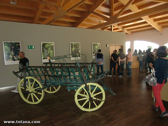 Viaje a Jumilla. Hermandad de Nuestro Padre Jess Nazareno y Santo Sepulcro de Totana - 11
