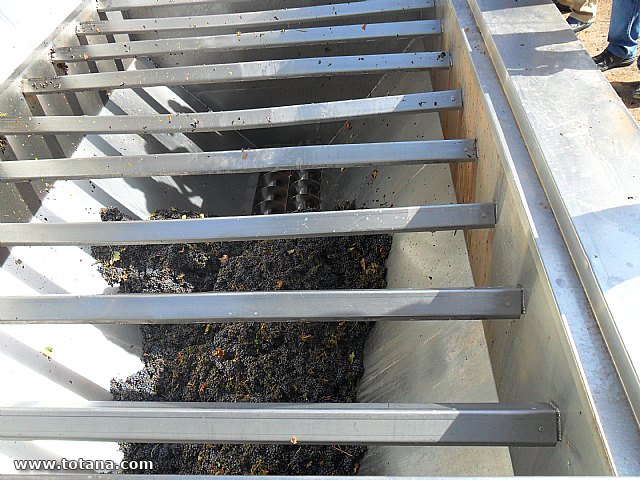 Viaje a Jumilla. Hermandad de Nuestro Padre Jess Nazareno y Santo Sepulcro de Totana - 115