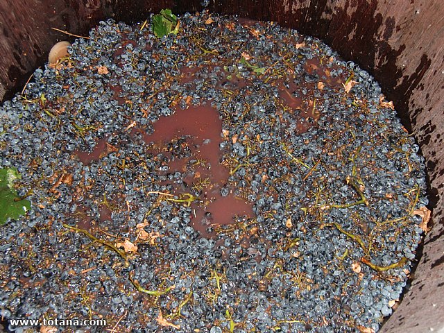 Viaje a Jumilla. Hermandad de Nuestro Padre Jess Nazareno y Santo Sepulcro de Totana - 26