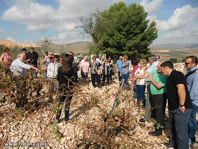 Viaje a Jumilla. Hermandad de Nuestro Padre Jess Nazareno y Santo Sepulcro de Totana - 49