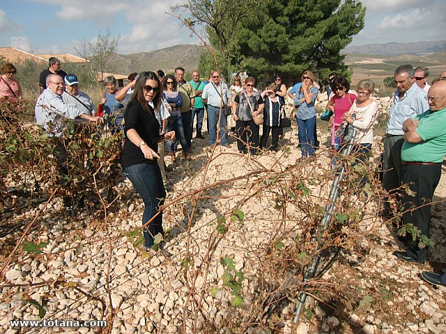 Viaje a Jumilla. Hermandad de Nuestro Padre Jess Nazareno y Santo Sepulcro de Totana - 53